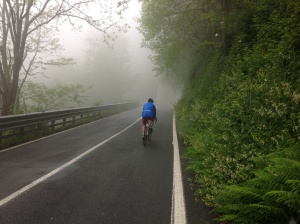 It was a misty upwards cycle this morning.